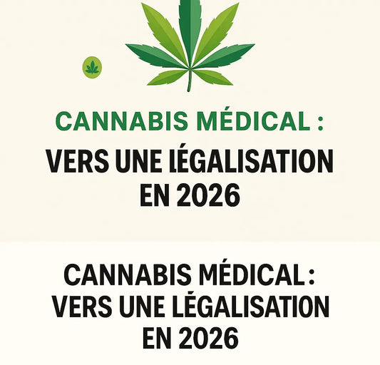 🌿 Cannabis médical : vers une légalisation en 2026