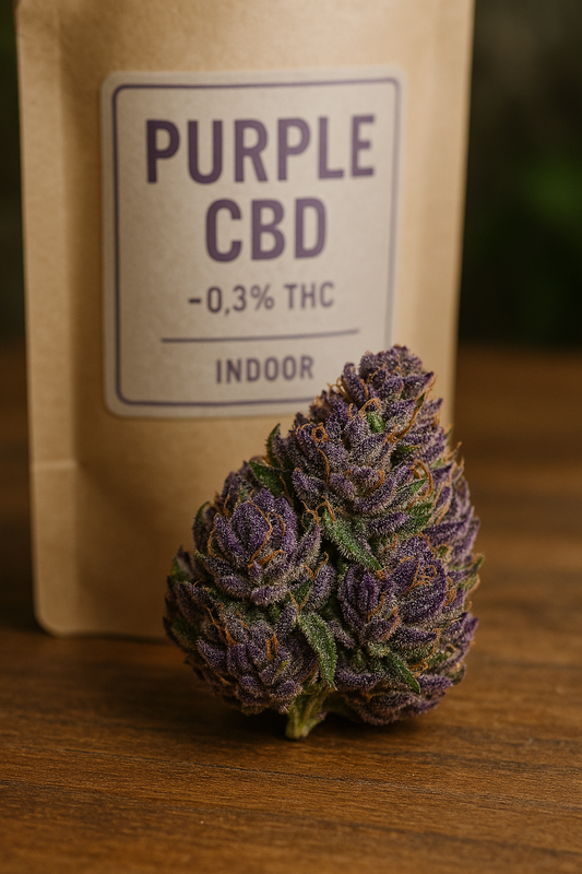 🌿 CBD Purple : Tout savoir sur cette variété relaxante aux reflets violets