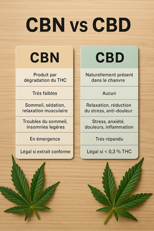 CBN vs CBD : quelles différences entre ces deux cannabinoïdes ?