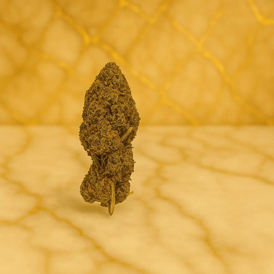 CANDY KUSH