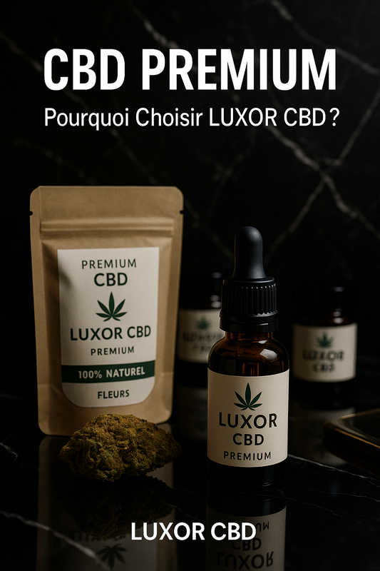 Pourquoi Choisir du CBD Premium ? Découvrez l’Excellence de LUXOR CBD
