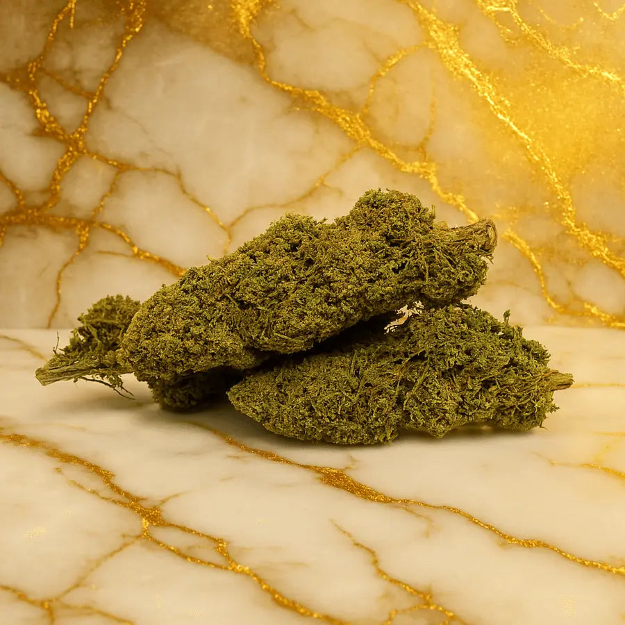 Orange_BUD