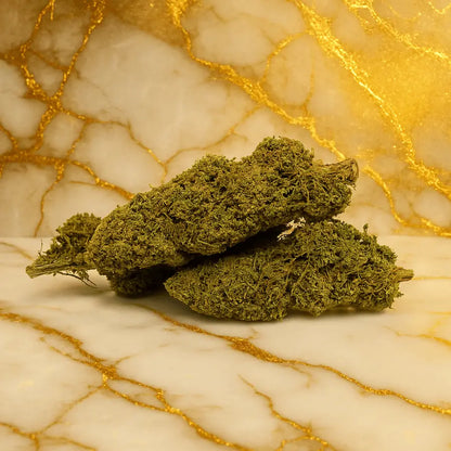 Orange_BUD