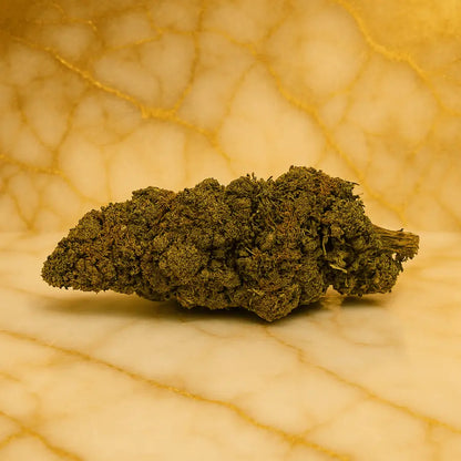 Orange_BUD